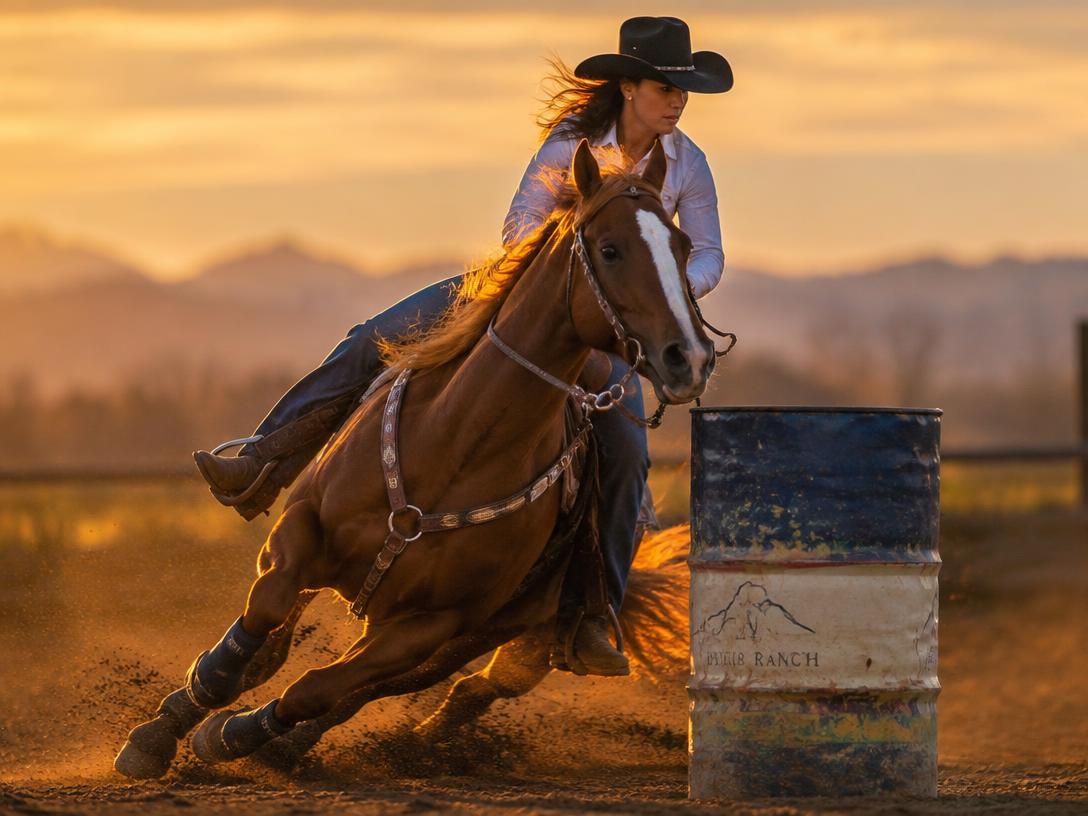 Barrel racer rounding a barrel at golden hour
